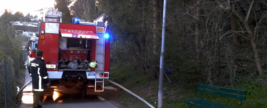 Kleiner Waldbrand