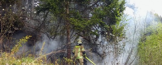 Waldbrand Hechenberg – 1. Tag