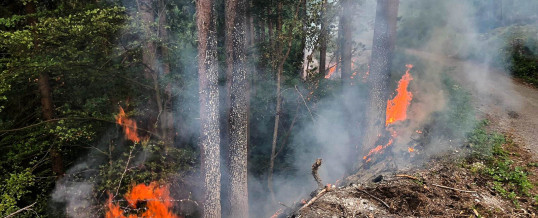 Zwei Alarmierungen zu Waldbränden