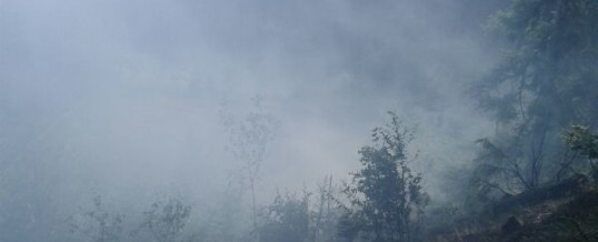Alarmierung Waldbrand