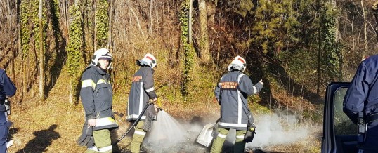 Rauchentwicklung im Wald