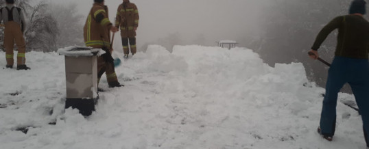 Technischer Einsatz wegen Neuschnee