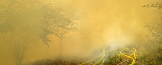 Zwei Alarmierungen am Monatsletzten