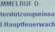 3 Alarmierungen im August
