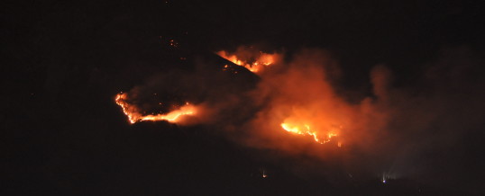 Großer Waldbrand in Absam