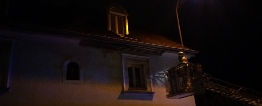 Dachsims entfernen