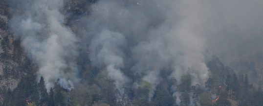 Abschlussbericht Waldbrand Hechenbergl